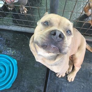 Meet your Posher, Brandon